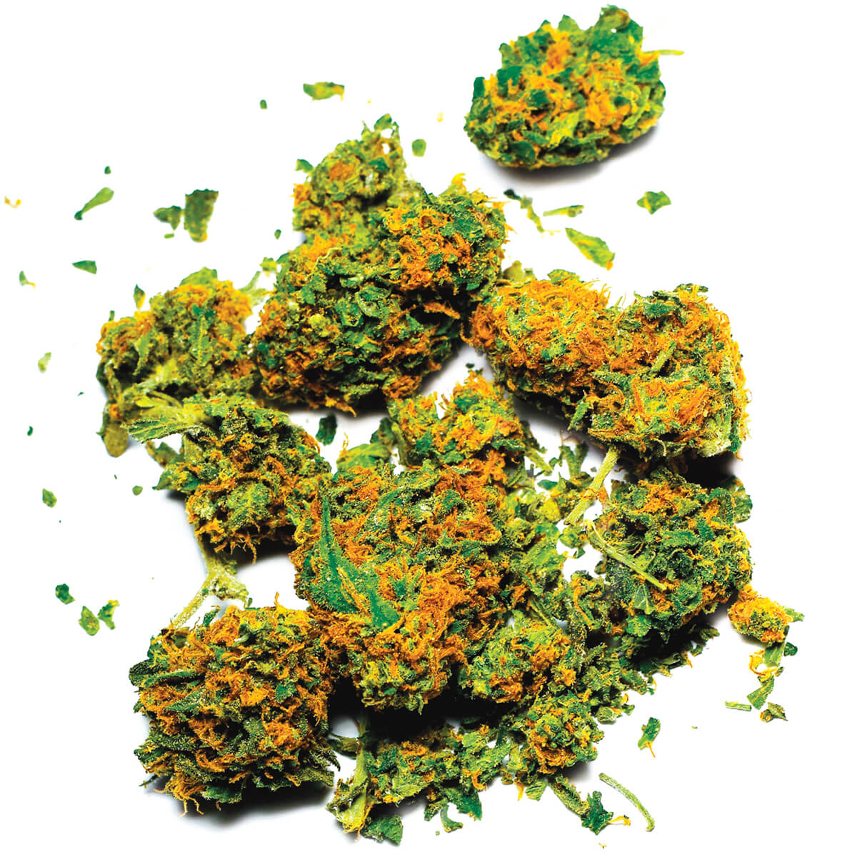 Status of Marijuana Law in New Jersey Cherry Hill NJ Drug Defense Lawyer